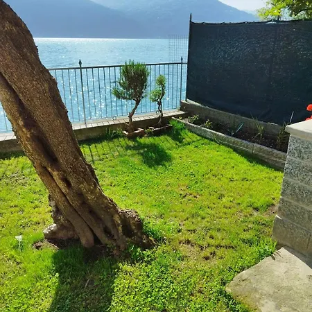 Peaceful Lakefront Garden 公寓 马罗内
