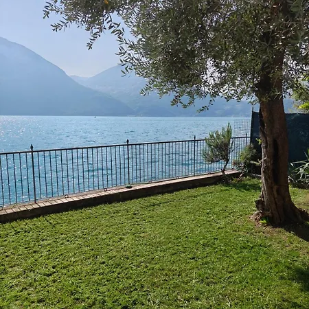 Peaceful Lakefront Garden *